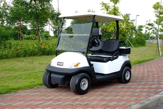 Hot Sale 2 Seater Electric Golf Buggy