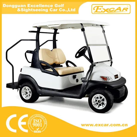 Hot Sale 2 Person Mini Electric Vehicle 