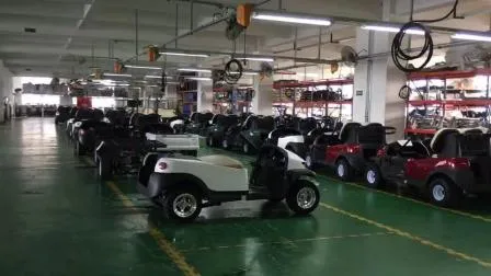 2인승 전기 골프 카트 태양광 골프 버기 카트 전기 자동차