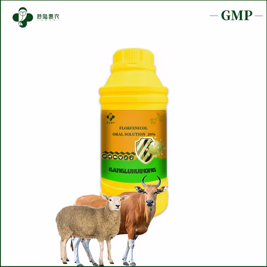 도매 맞춤형 항생제 의약품 플로르페니콜 경구 용액 10% 20% 30% 소, 양, 염소용 수의학 의약품
