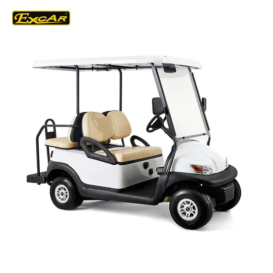 China 2 Seater Electric Golf Cart for Golf Course 
